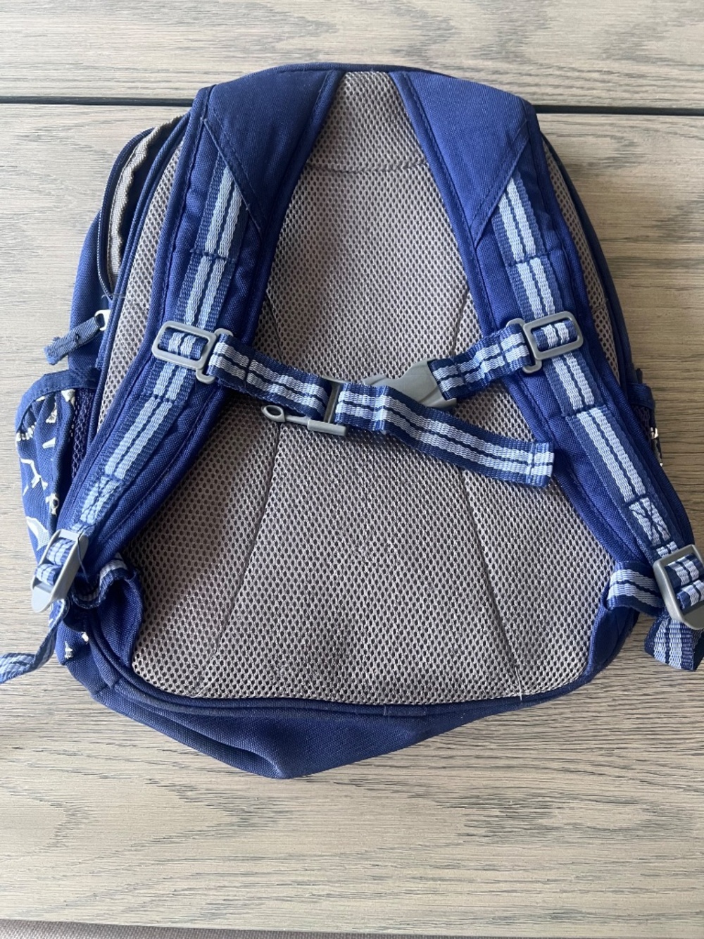 PBK Backpack - Picture 2 of 3